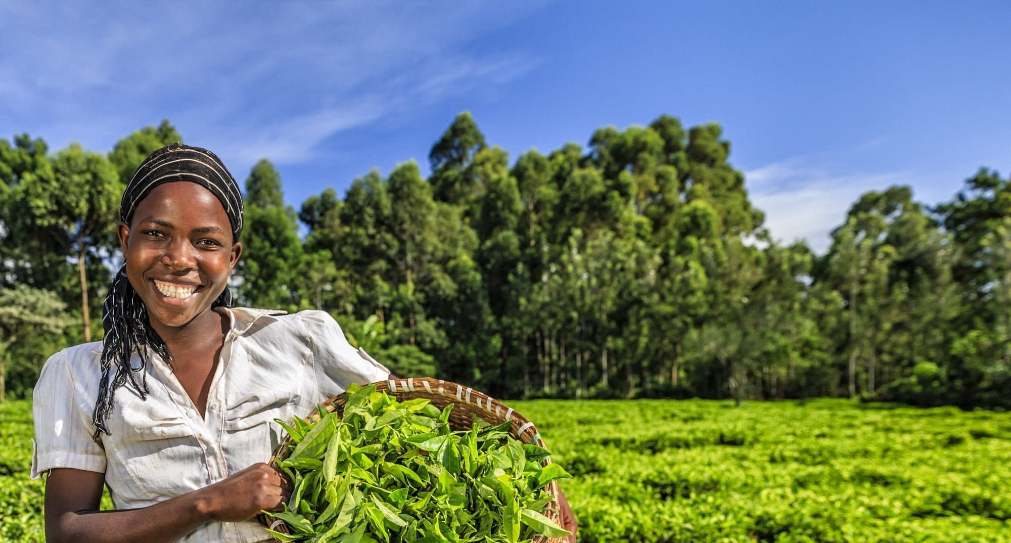 4 Startups Improving Crop Yield With Innovation