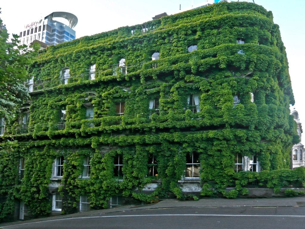 green building - climateaction