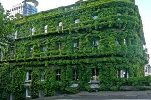 green building - climateaction