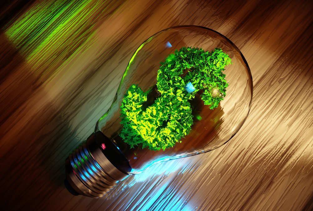 green business ideas - climateaction